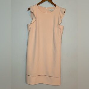 Ann Taylor Loft Ruffled Flutter Sleeves Shift Dress Sz 10 Tall